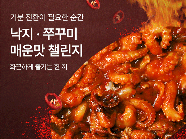 260402 쭈꾸미 낙지