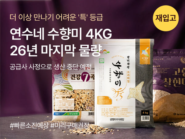 260428 수향미