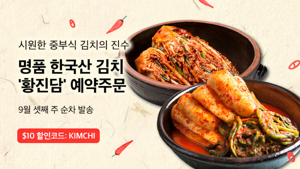 250828-황진담