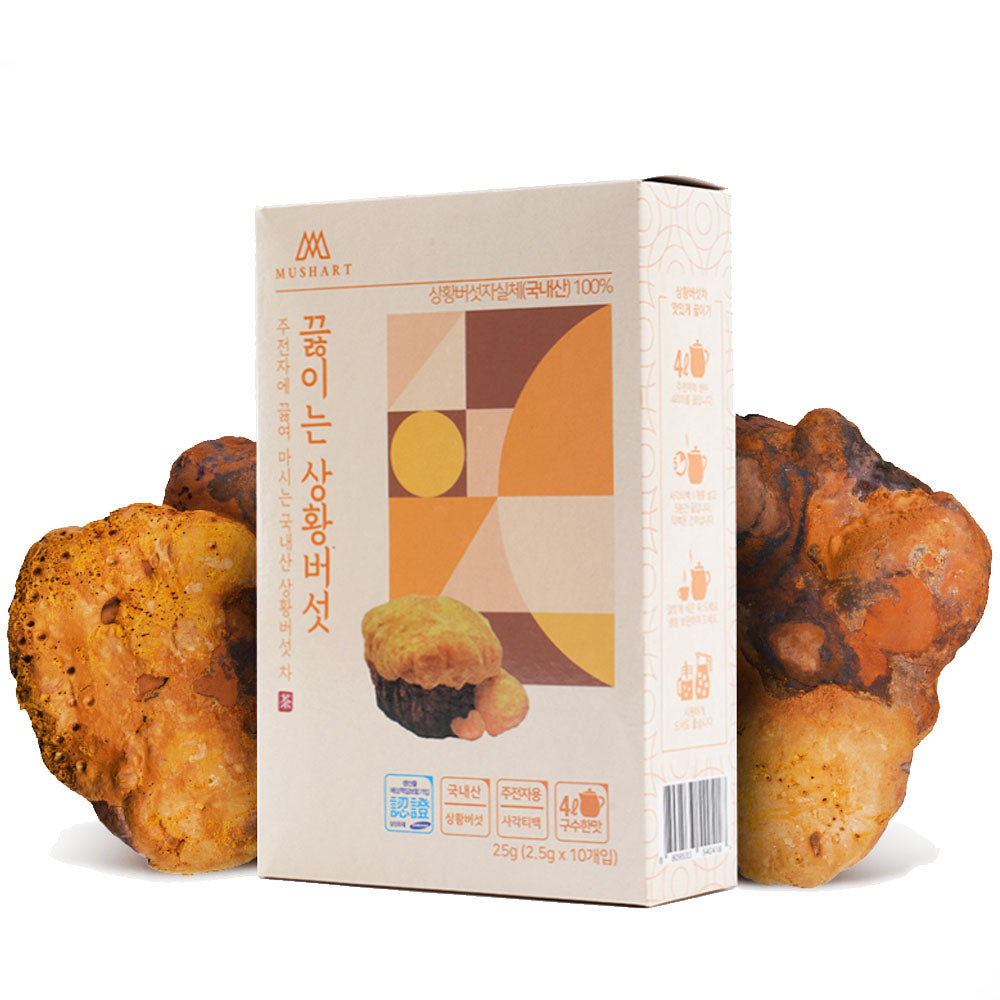 [솔룸바이오텍] 끓이는 상황버섯 (2.5g x 10ea)
