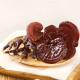 [솔룸바이오텍] 끓이는 영지버섯 (2.5g x 10ea)