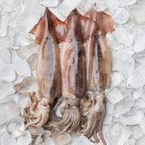 Sliced Korean Squid 300g