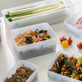 Betree Fresh Antibacterial Storage Container Mixed Set  6 Types, 19 Pieces (Includes 2 Sheets of Labels)_Korea Direct Delivery D 