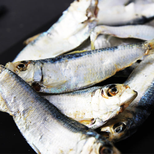 [한국직배송 B] 멸치청년단 프리미엄 멸치 종합세트(다시멸치 500g + 볶음멸치 500g + 지리멸치 500g + 디포리500g)