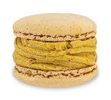 [널담] 뚱카롱 4구 - 인절미 초코 (50g x 4개입)