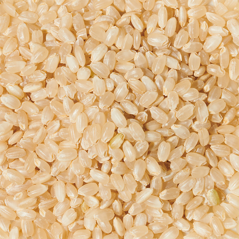 [리필리] 로컬스톡 안심현미 850g